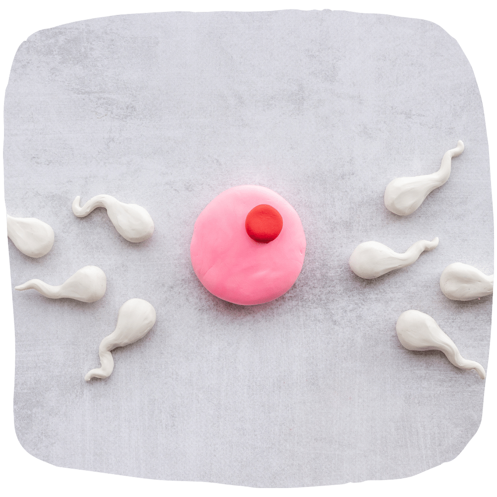 Behandlungen-IVF