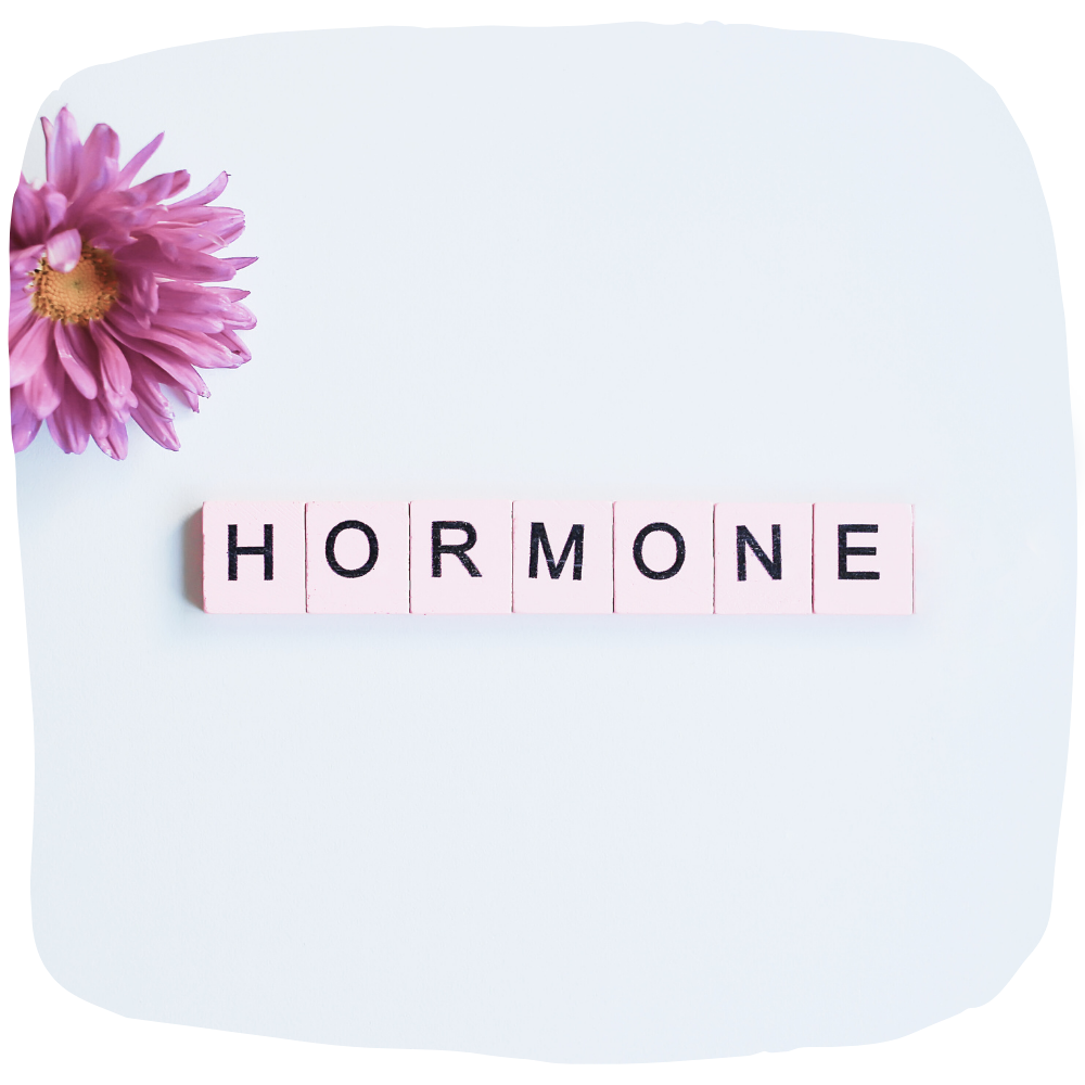 Hormonanalyse Kinderwunsch